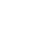 bossa